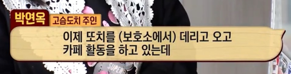 따봉고슴도치 휴지심 좋아도치 | 인스티즈