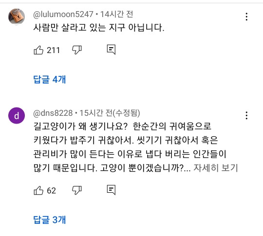 예전과 달라진 길고양이 급식소 겨울집 여론 | 인스티즈