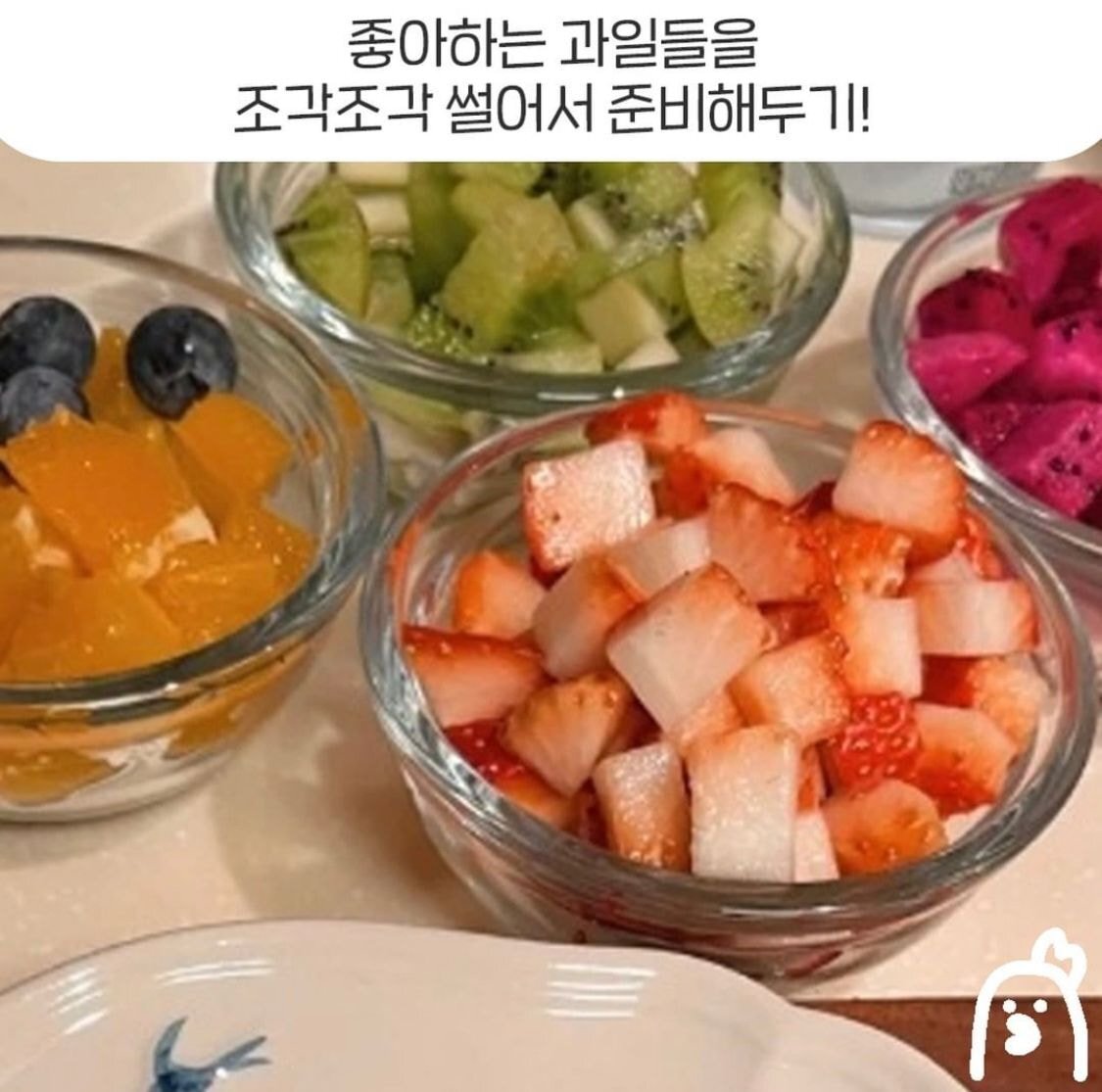 애기들이 좋아할 거 같은 과일 만두 젤리 | 인스티즈