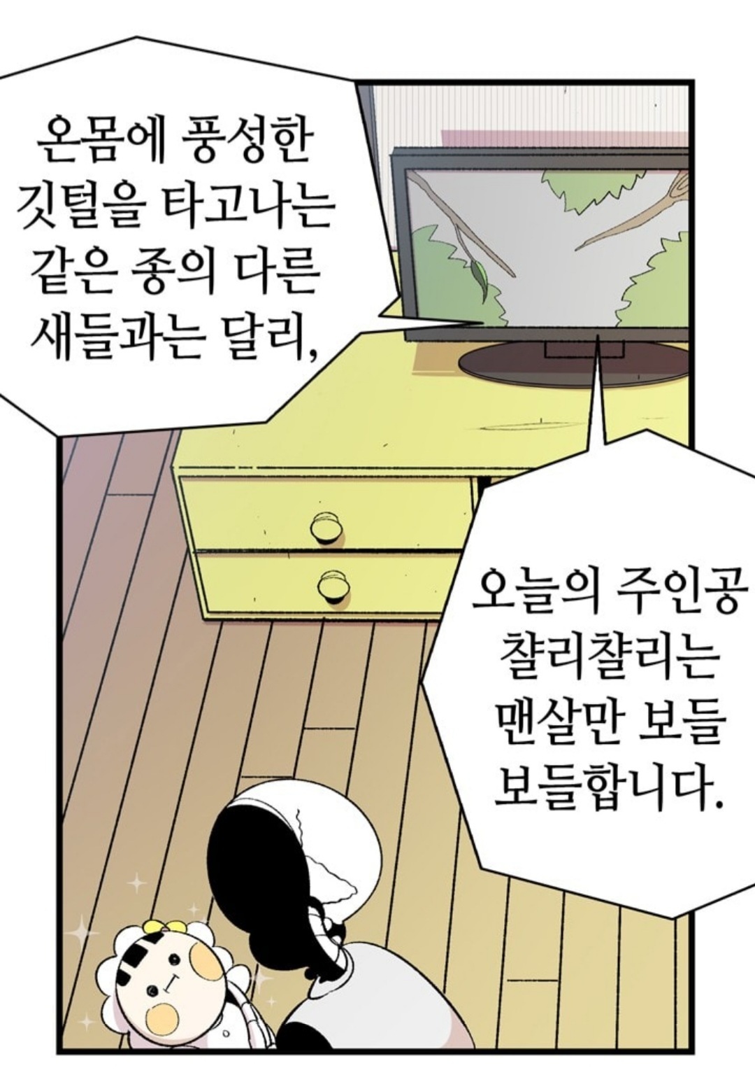독립하면서 고양이를 분양받았는데... 돌연변이가 왔어요...; | 인스티즈