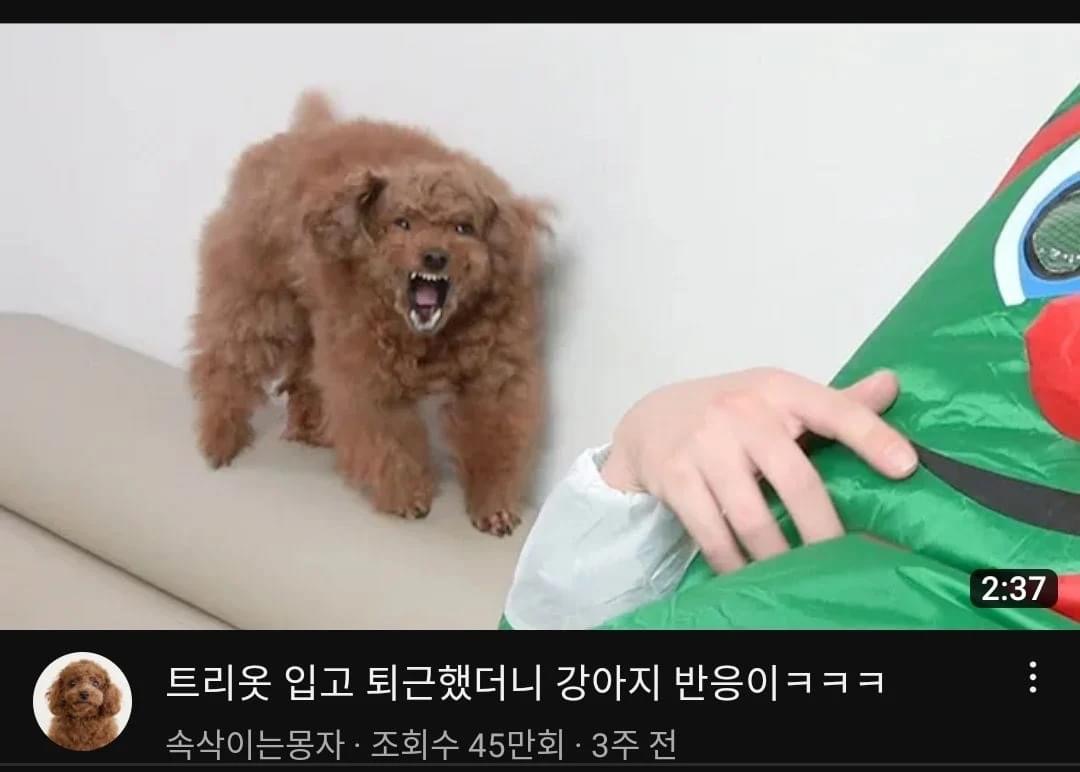 여전히 유튜브 썸네일 장인인 몽자 | 인스티즈