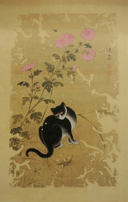 우리나라는 왜 고양이를 "나비야~"라고 부르게 됐을까 | 인스티즈