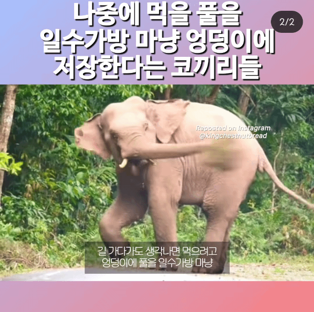 어릴땐 뭣 모르고 탔다가 성인되고나서는 오히려 못타게 된 사람들이 많은 놀이기구 | 인스티즈