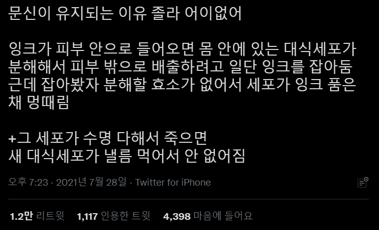 문신이 유지되는 이유 졸라 어이없어.twt | 인스티즈