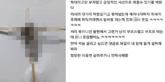 디씨인사이드 야옹이 갤러리 역대만행정리 (잔인함 주의) 사진 | 인스티즈