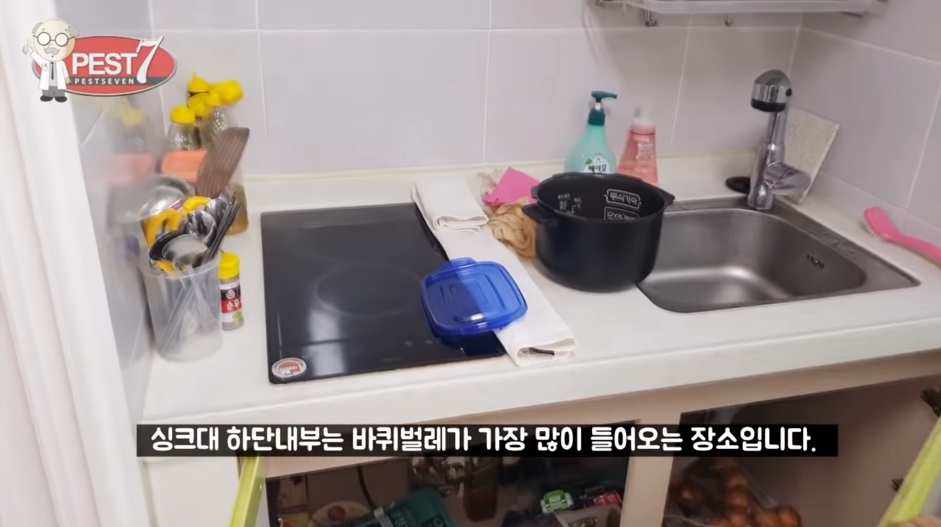 바퀴벌레가 집으로 들어오는..놀라운 경로들.jpg | 인스티즈