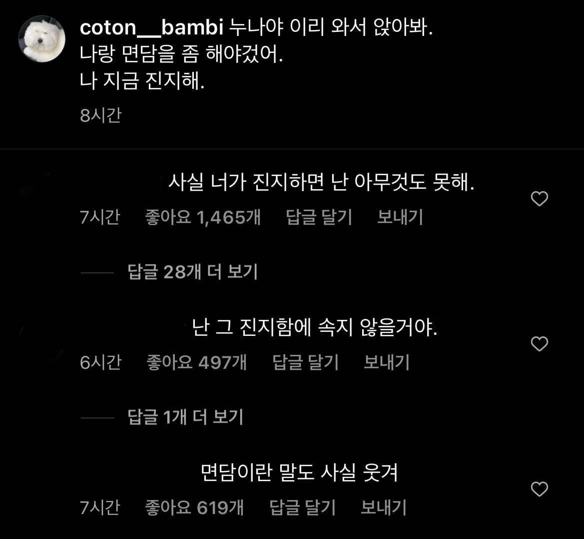 환승연애 나연 강아지 인스타 댓글창 상황 | 인스티즈