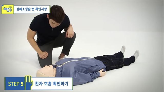 사람이 쓰러졌어요! 의식이 없어요! 우리 강아지가 쓰러져서 일어나지 않아요! 살려주세요!! | 인스티즈