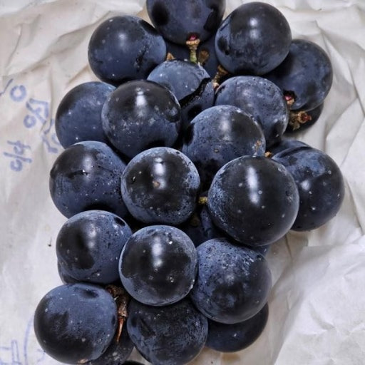 샤인머스켓으로 농가들이 다 갈아타서 더 소중해진 과일 | 인스티즈