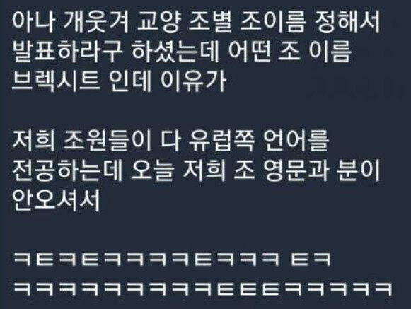 조이름을 브렉시트로 지은 이유.jpg | 인스티즈
