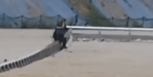 오송 지하차도 생존하신 분들 | 인스티즈