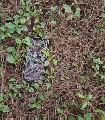 보고도 믿기 어려운 갤럭시 S23.gif | 인스티즈