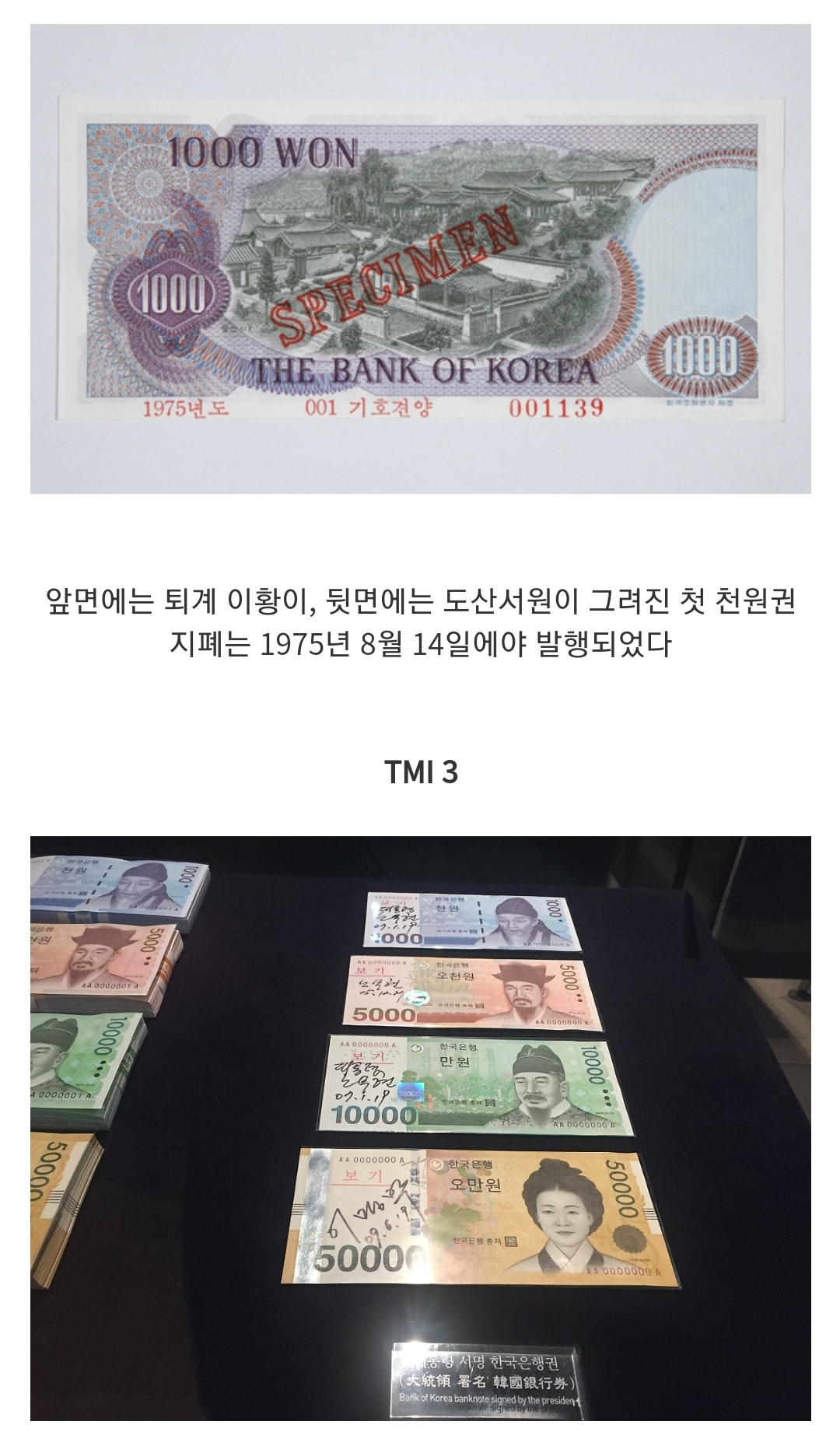당초 만원권 지폐의 도안은 세종대왕이 아니었다? 지폐 tmi | 인스티즈