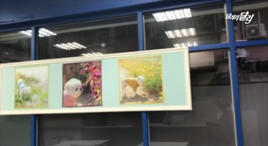 강아지 달리를 너무 좋아해서 가게이름도 달리로 지은 대만팬.jpg | 인스티즈