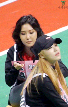 귀에서 피나올 것 같은 여고 남고 바이브 아이돌 팬아저들 | 인스티즈