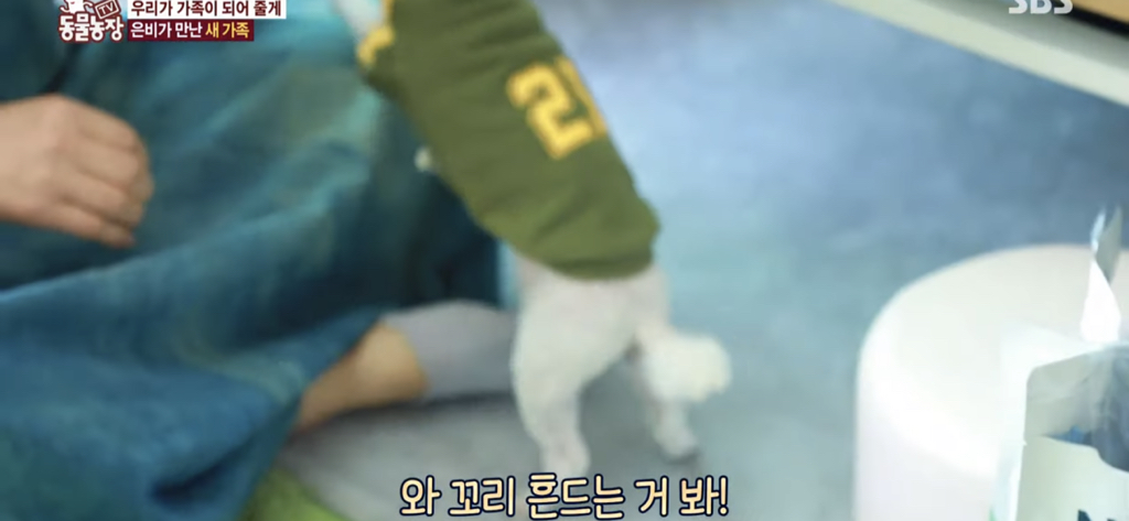 서로를 위해 헤어지는 할머니와 은비 | 인스티즈