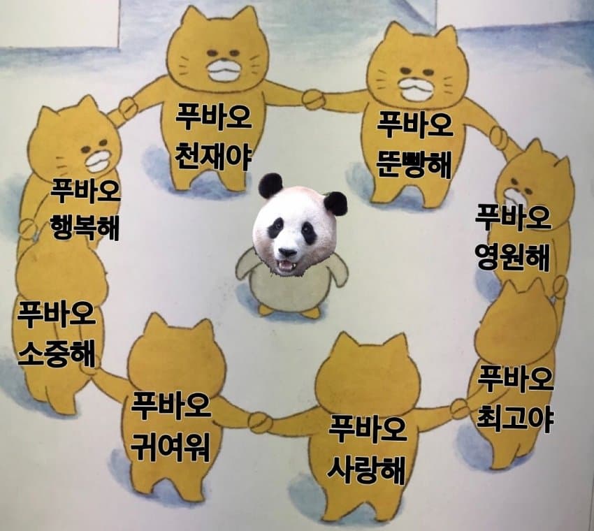 푸바오 얼굴 찌부 짤 모음 🥴 | 인스티즈