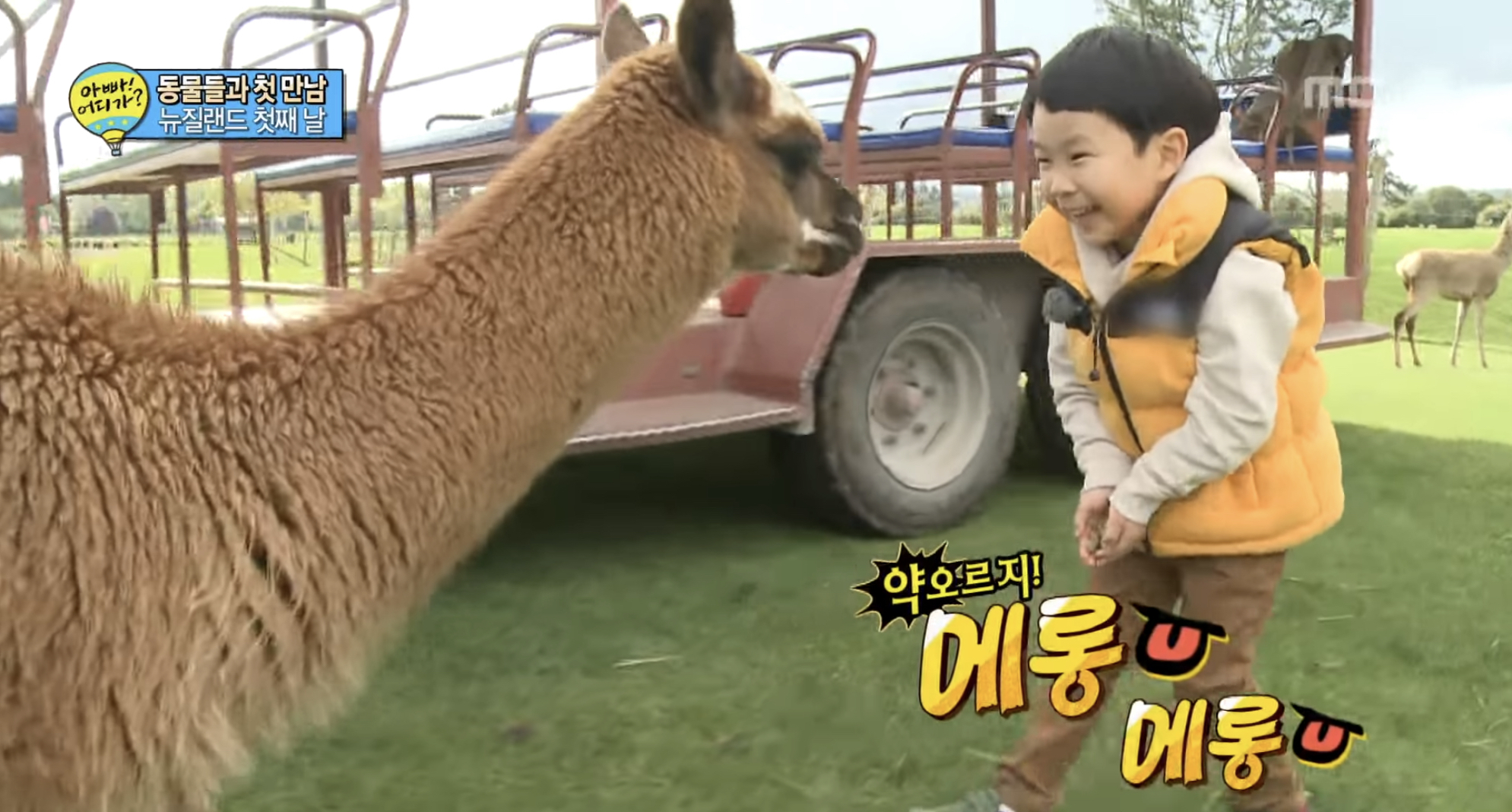 민율이 좋아하는 장면 말하는 달글 | 인스티즈