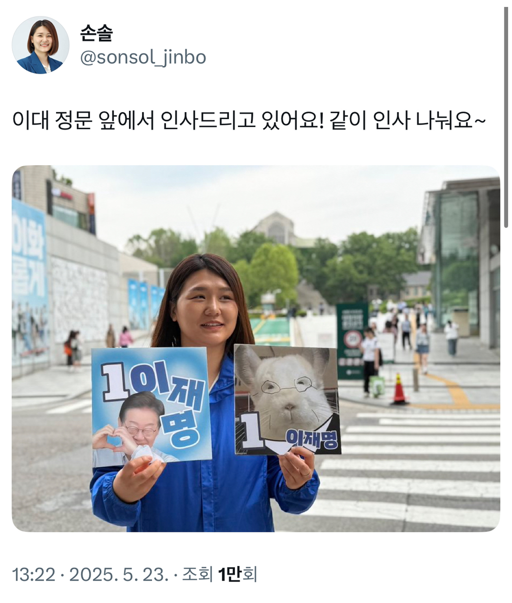 애국 고양이짤이랑 비교되는 감다살 자체인 이재명 선대위 피켓 | 인스티즈
