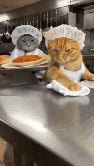 실버가 잘못했다 vs 치즈가 잘못했다 | 인스티즈