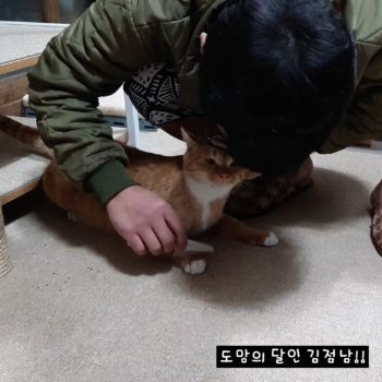 [매탈남] 이렇게 콧구멍 큰 고양이 처음봄 | 인스티즈