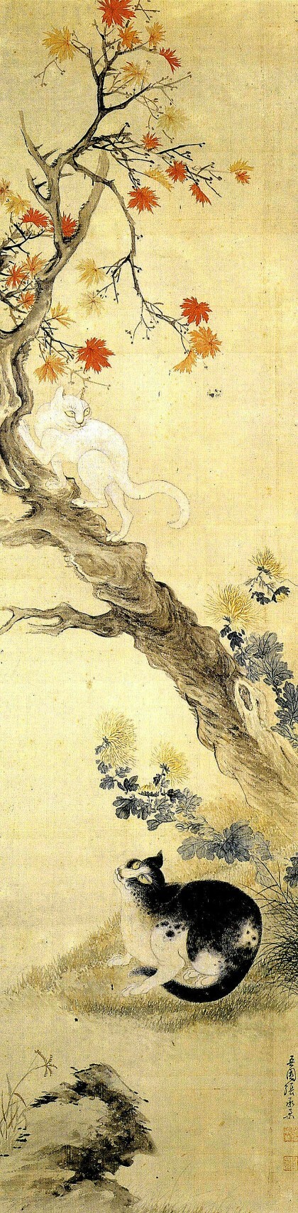 조선시대때 코숏 조상 고양이들의 모습 (현재랑 개똑ㅋㅋㅋ) | 인스티즈