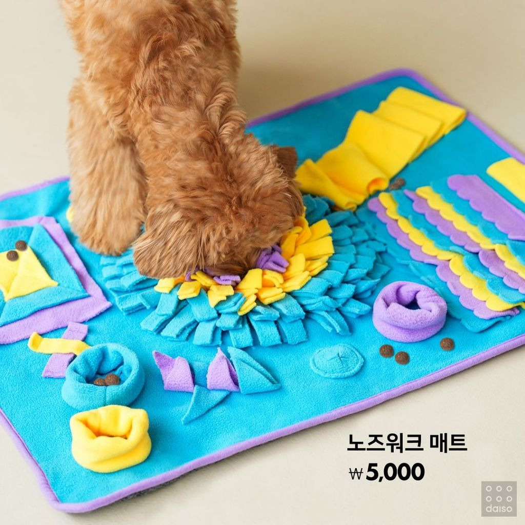 다이소 강아지용품 9월 신상 출시.jpg (노즈워크 매트가 단돈 5,000원) | 인스티즈