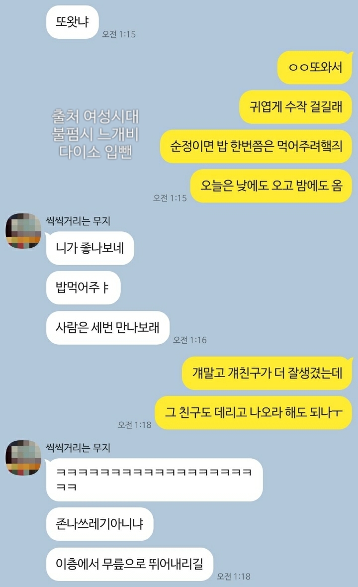 서로 싫어하는데 티키타카 잘 맞는 남사친 (+추가함) | 인스티즈