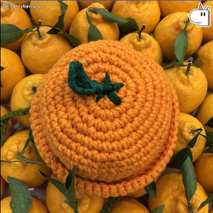 제주도 감귤 아이템🍊.jpg | 인스티즈