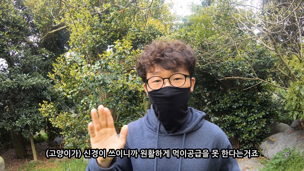 고양이가 자연생태계에 끼치는 심각한 영향(새 사체사진있음) | 인스티즈