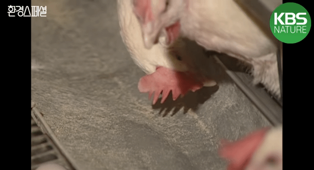 1fecc5b7ffb368db62bf54680941dbcb79b61423