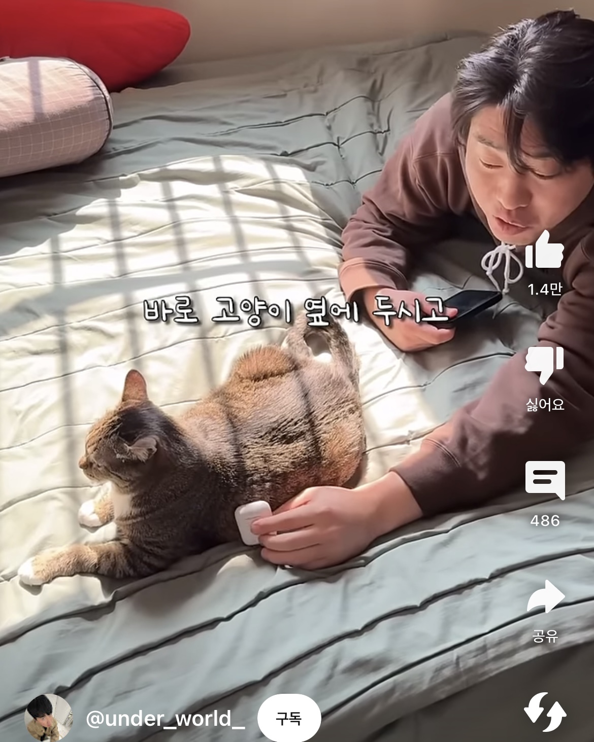 당근마켓에서 물건팔때 꿀팁 | 인스티즈