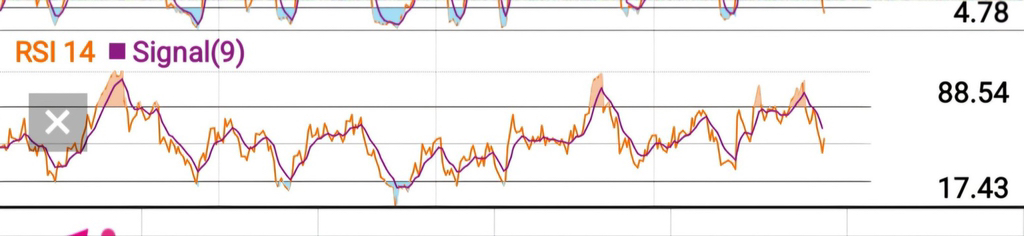 레이디들 미국주식 지표 상대강도지수(RSI) 알아가세요 | 인스티즈