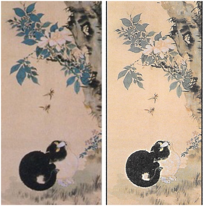 우리나라는 왜 고양이를 "나비야~"라고 부르게 됐을까 | 인스티즈