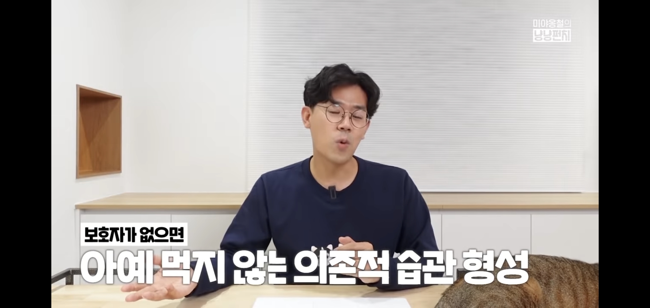 고양이 분리불안을 만드는 집사의 5가지 행동.jpg | 인스티즈