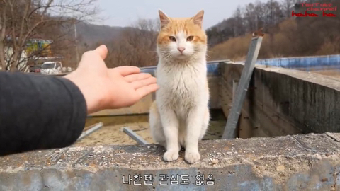 [hahaha] 뚱땅이 걸음걸이가 정말 특이하다는걸 한눈에 알아볼수있는 짤🐾 | 인스티즈