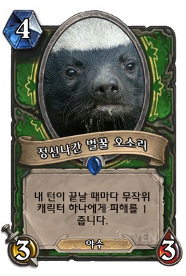 분노조절안되는 미친동물 벌꿀오소리를 알아보자! (제법 귀여움 주의) | 인스티즈