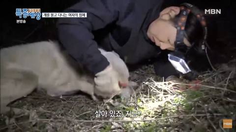 당신이 버린 강아지는 어떻게 되었을까 | 인스티즈