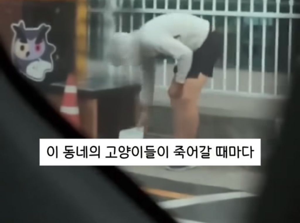 길고양이 급식소 밥그릇 훔쳐가고 XXX 뿌리는 남자 | 인스티즈