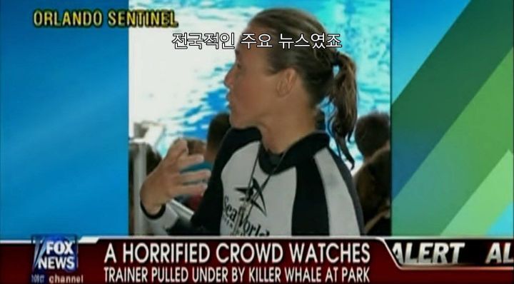 어느날 소방서에 고래가 조련사를 잡아 먹었다는 신고가 들어왔다 .jpg (스압주의) | 인스티즈