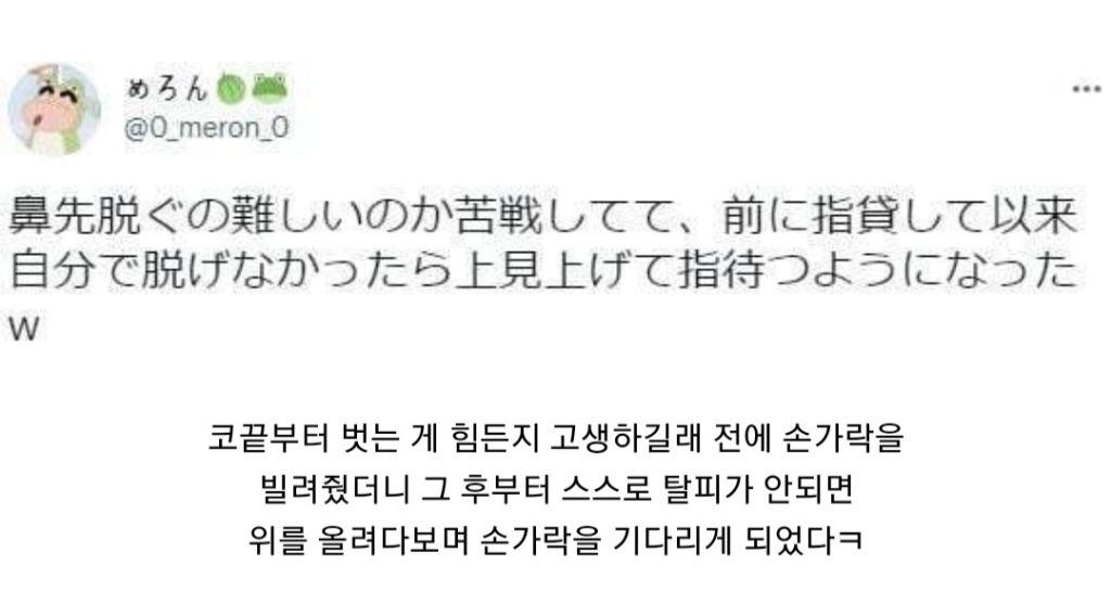주인한테 탈피 도움 요청하는 도마뱀 | 인스티즈