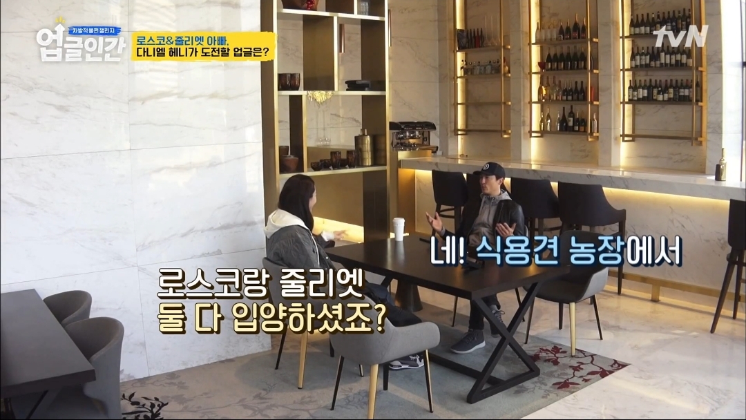 식용견 농장에서 구출된 다니엘 헤니의 강아지 로스코, 줄리엣 | 인스티즈