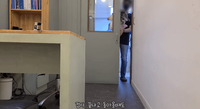 수의사한테 명치킥 날리는 고양이.gif | 인스티즈