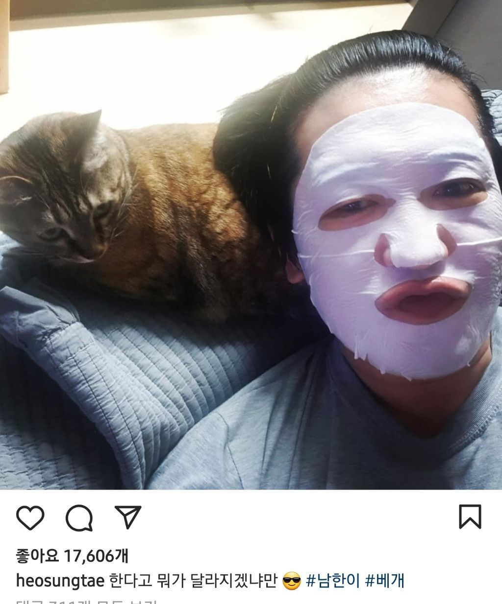 배우 허성태네 고양이들 | 인스티즈