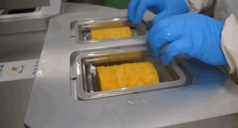 델몬트 파인애플 공장 견학🍍🤓 | 인스티즈