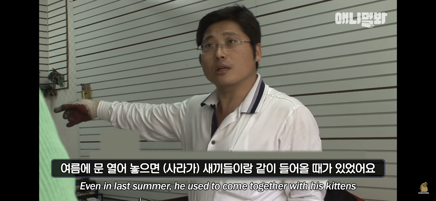 길고양이 목에 쪽지를 달자 생긴 영화같은 일 | 인스티즈