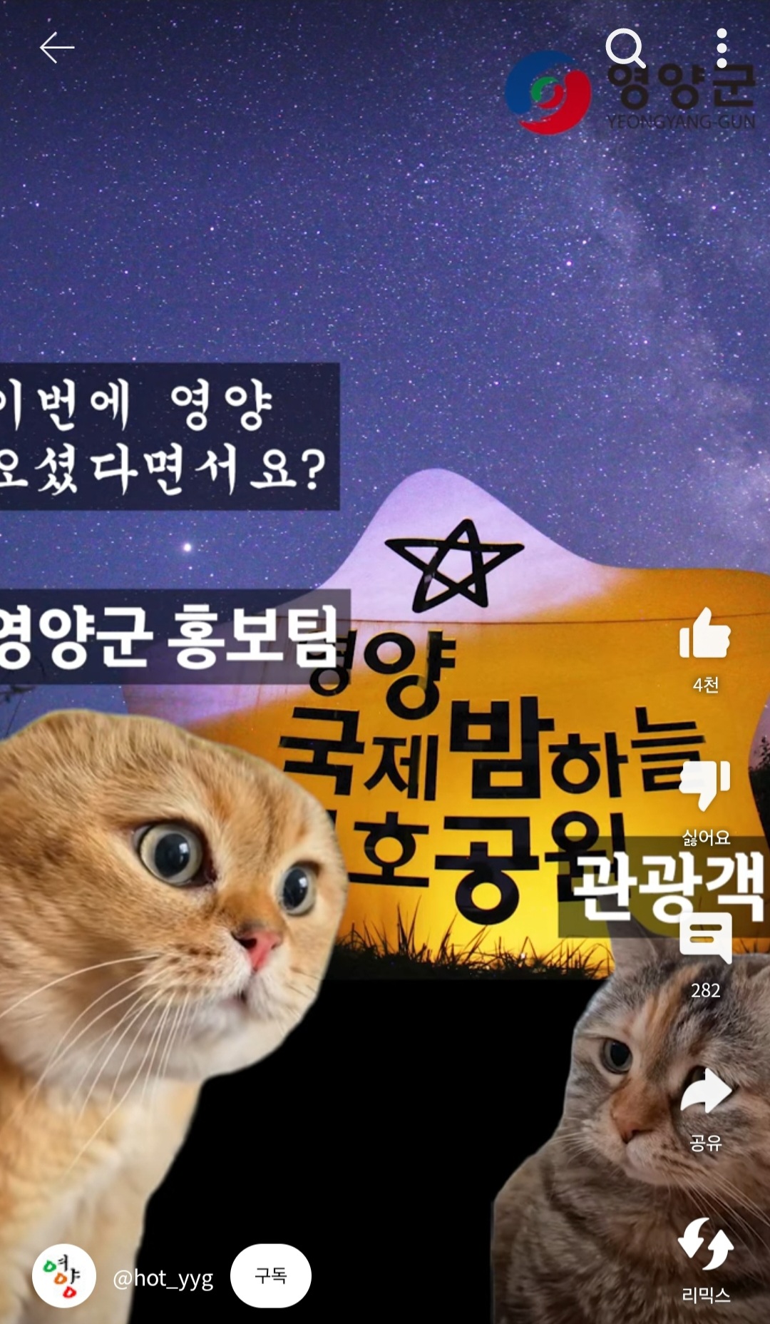 [영양군공식홍보영상] 이번에 영양 놀러오셨다면서요?🐱 | 인스티즈