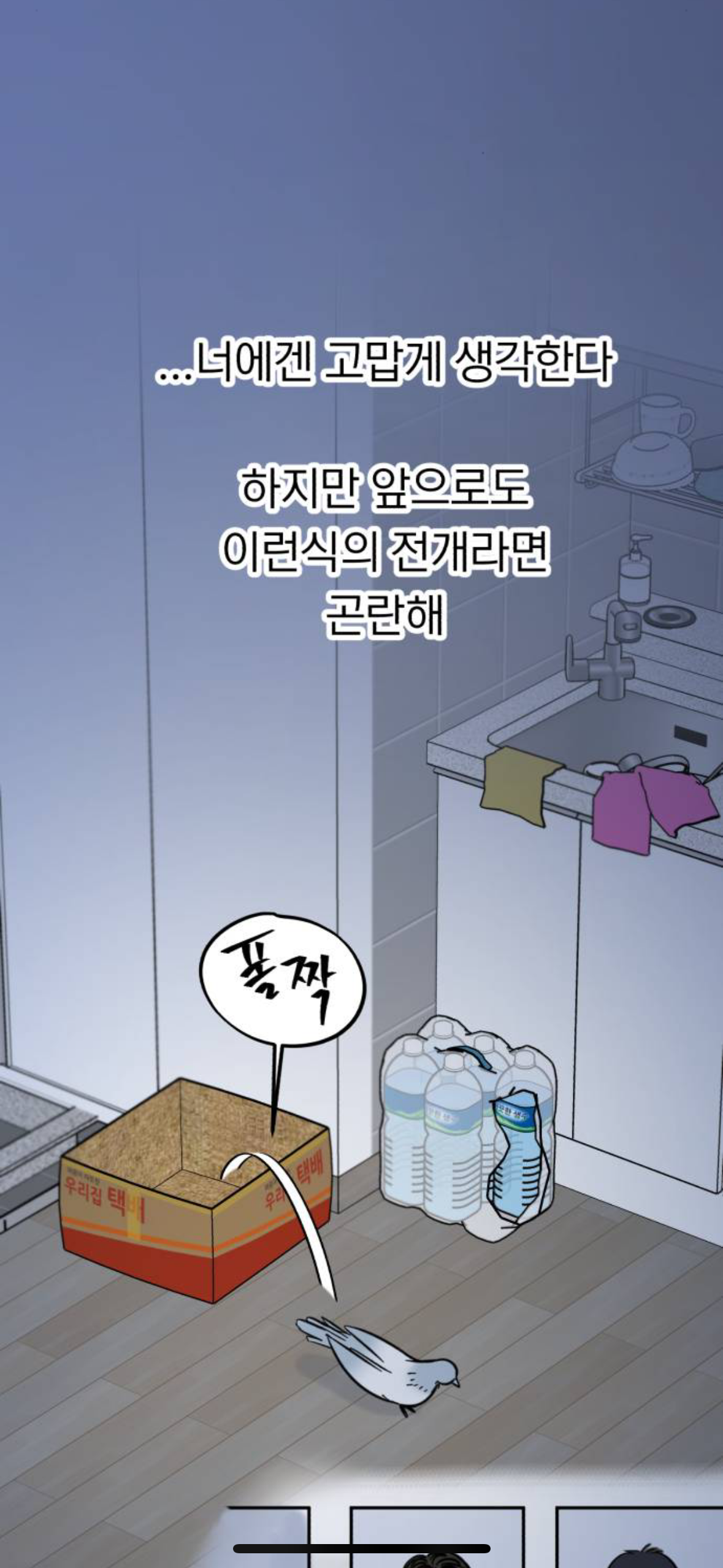 아니 내가 살다살다 비둘기를 볼려고 돈을쓰네 | 인스티즈