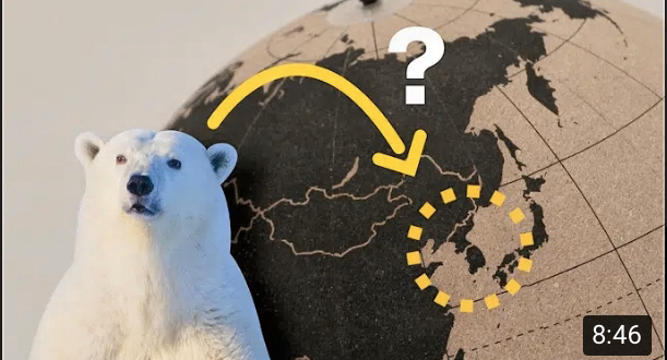 비건들이 지구를 살리고 있다(feat. 그 외의 팩트들) | 인스티즈