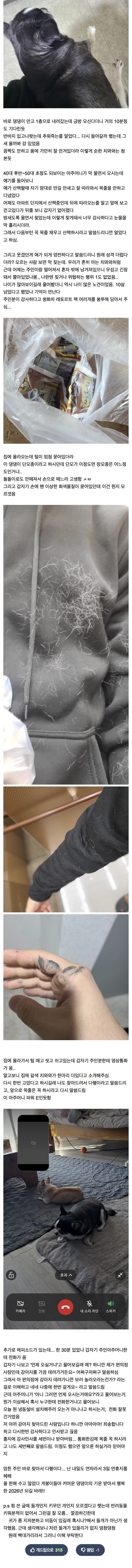 길잃은 뚱쭝 치와와 주인 찾아준 개드립인 | 인스티즈